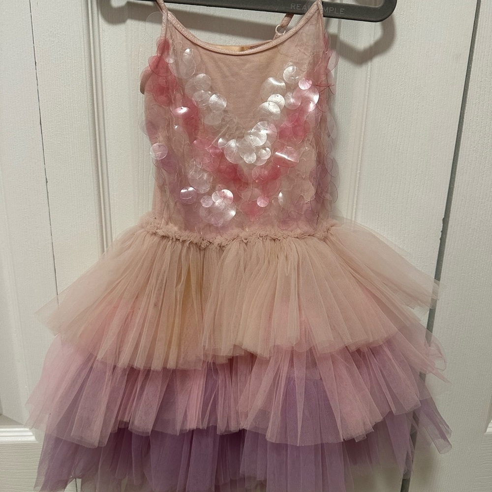 Tutu Du Monde Blush and Lavender Tutu Dress